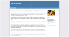 Desktop Screenshot of kancelaria-wassermann.pl